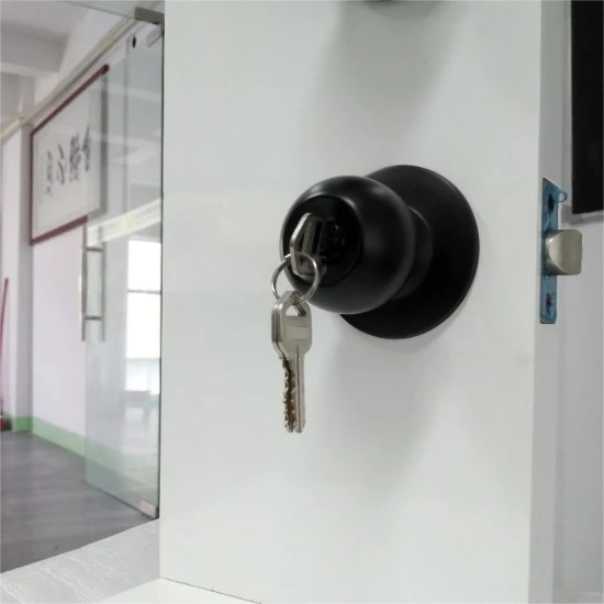 Conjunto de maçaneta de porta de privacidade, fechadura interior estilo tulipa, maçaneta de porta sem chave para quarto ou banheiro